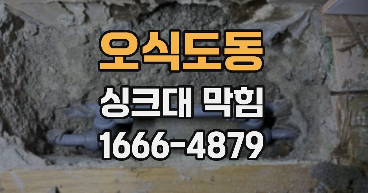 오식도동 싱크대 막힘