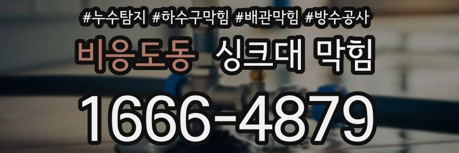 비응도동 싱크대 막힘