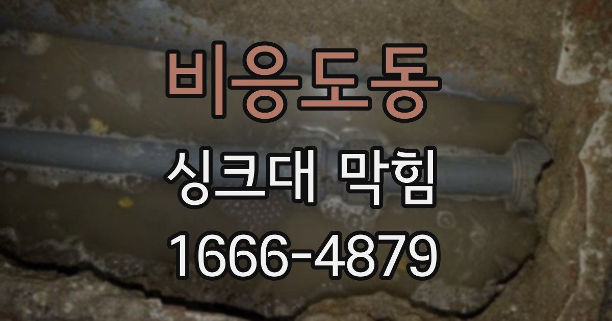 비응도동 싱크대 막힘