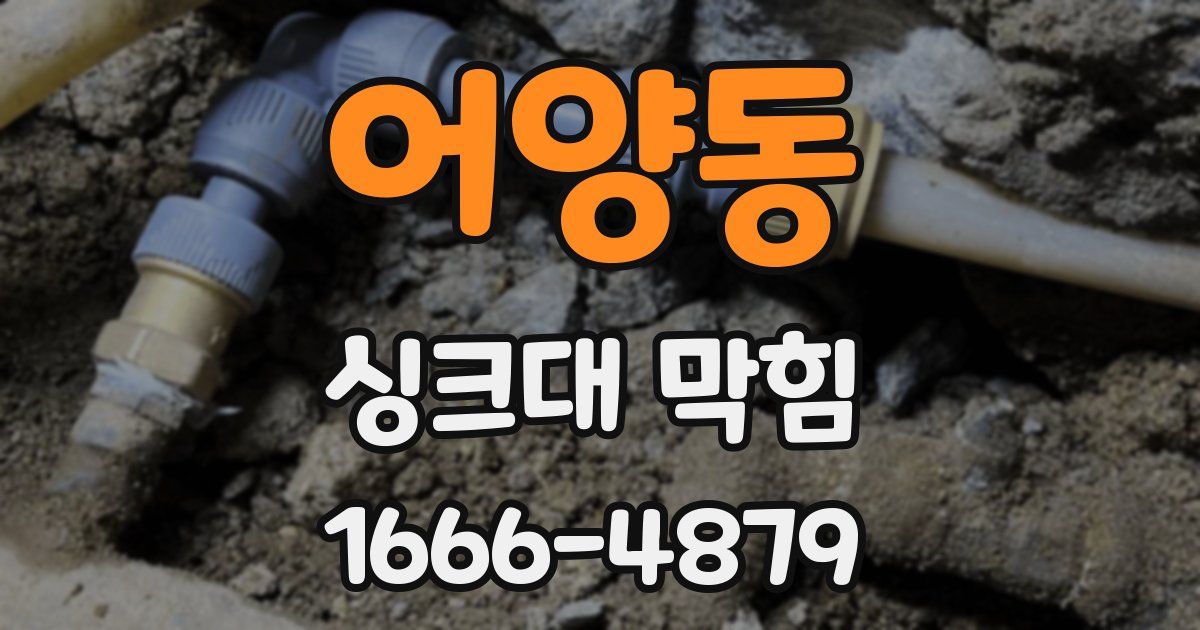 어양동 싱크대 막힘