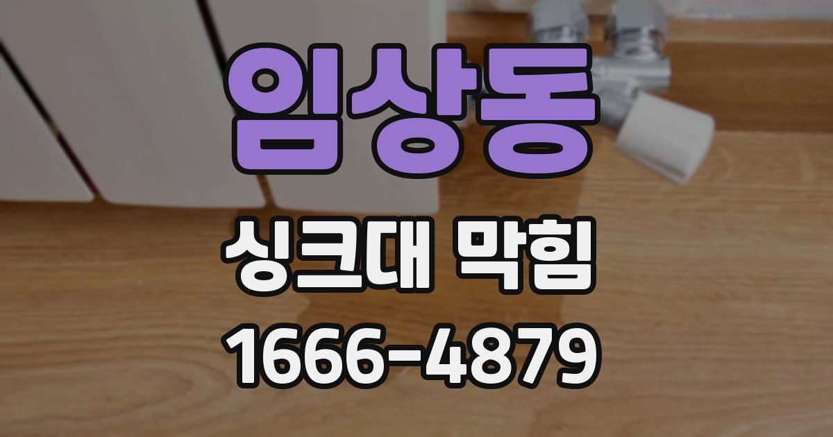 임상동 싱크대 막힘