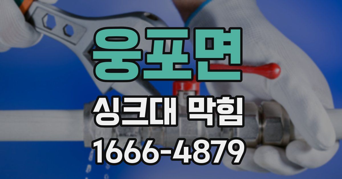 웅포면 싱크대 막힘