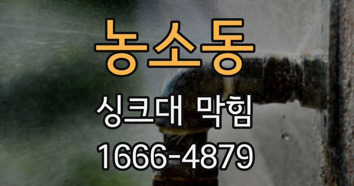 농소동 싱크대 막힘