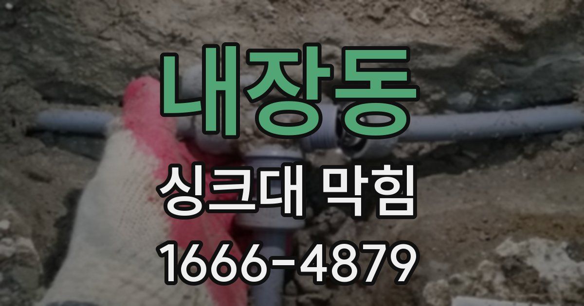 내장동 싱크대 막힘