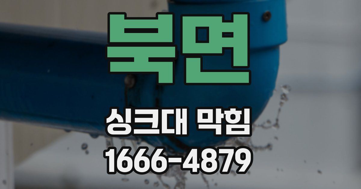 북면 싱크대 막힘