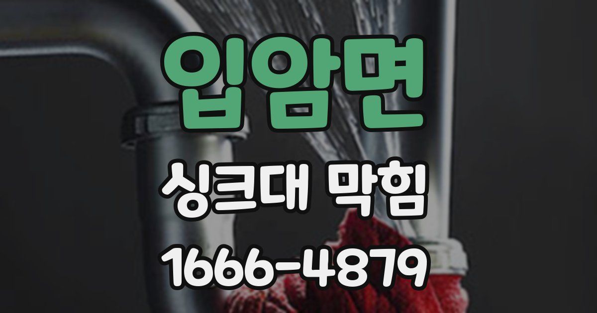 입암면 싱크대 막힘