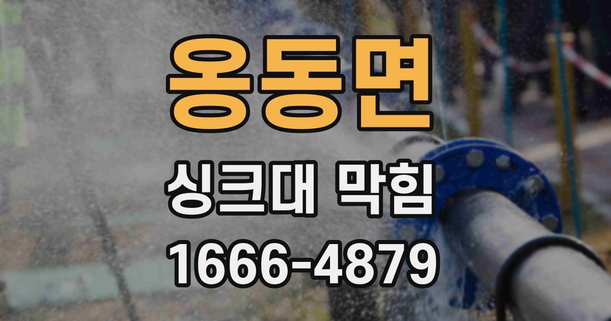 옹동면 싱크대 막힘