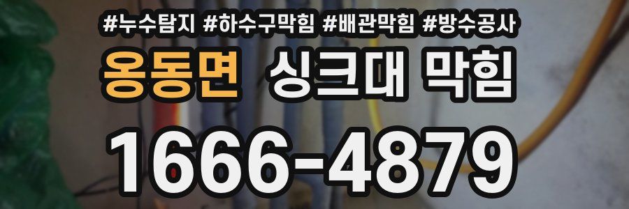 옹동면 싱크대 막힘