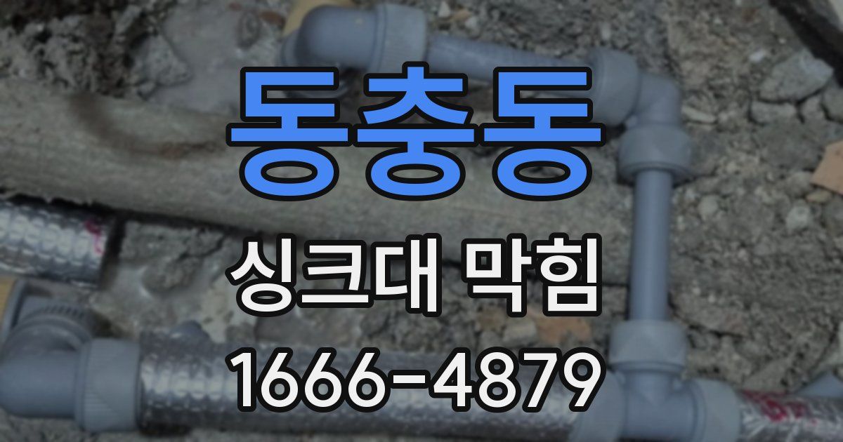 동충동 싱크대 막힘