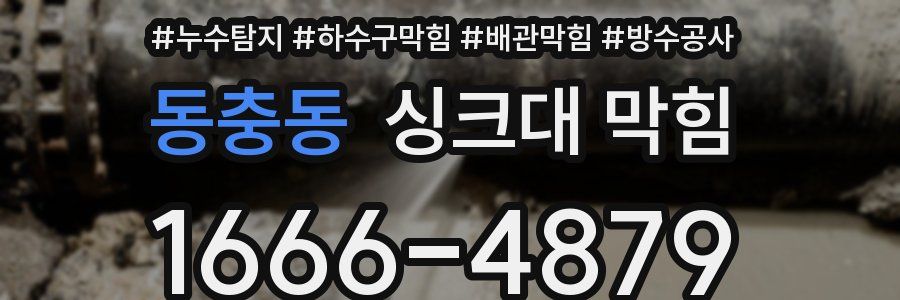 동충동 싱크대 막힘
