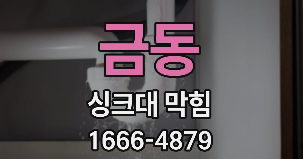 금동 싱크대 막힘