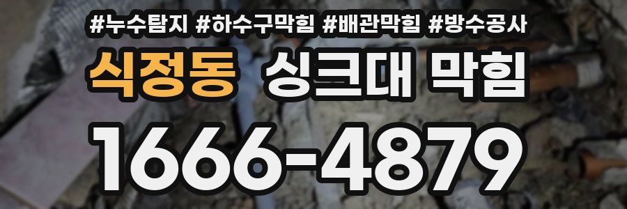 식정동 싱크대 막힘