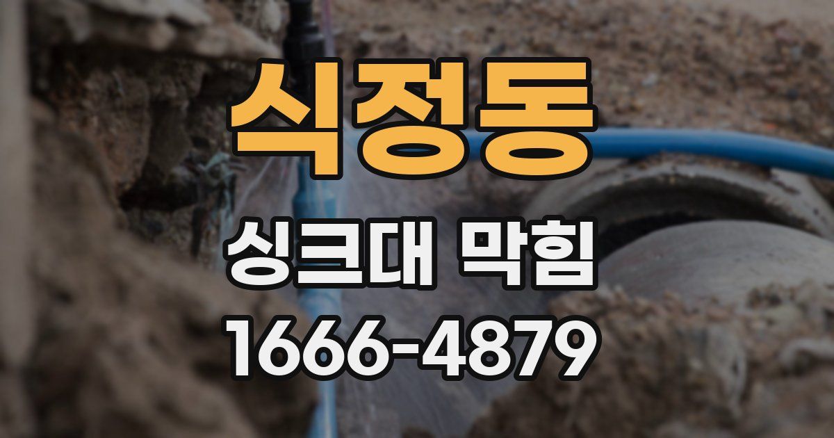 식정동 싱크대 막힘