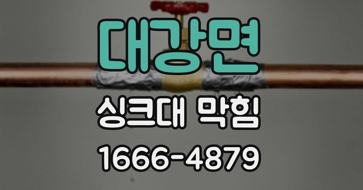 대강면 싱크대 막힘