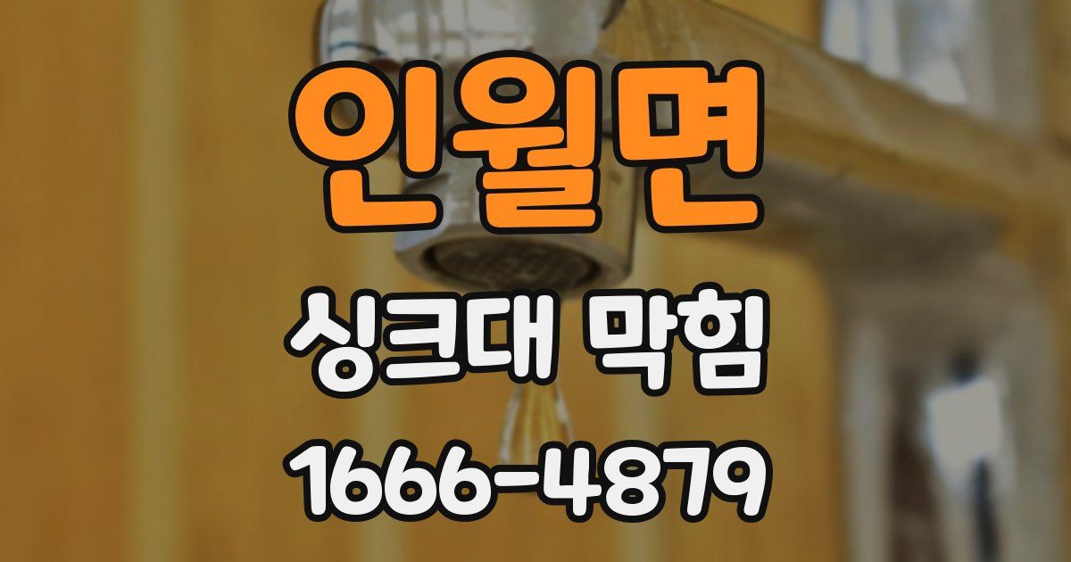 인월면 싱크대 막힘