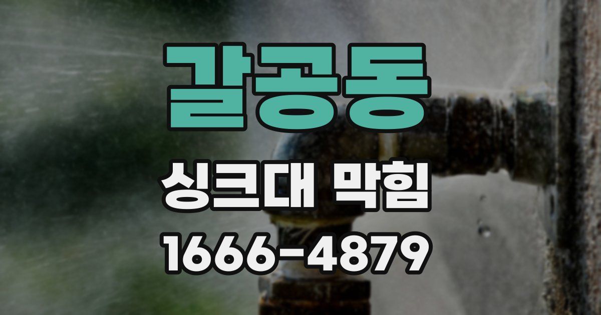 갈공동 싱크대 막힘