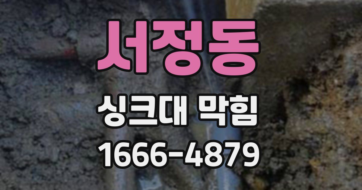 서정동 싱크대 막힘