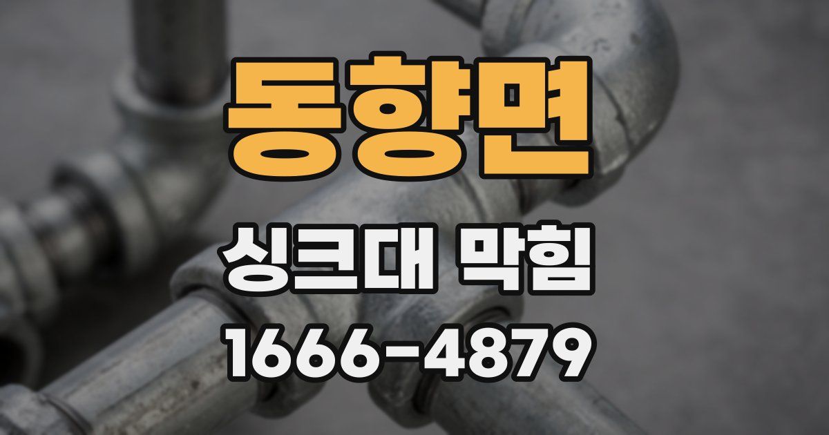 동향면 싱크대 막힘