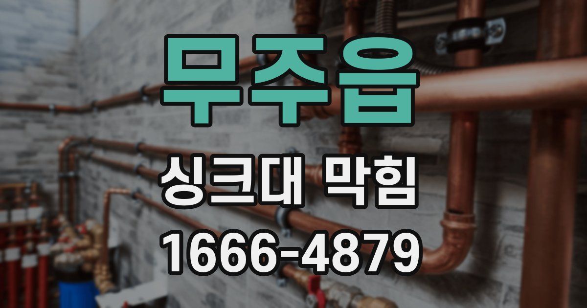 무주읍 싱크대 막힘