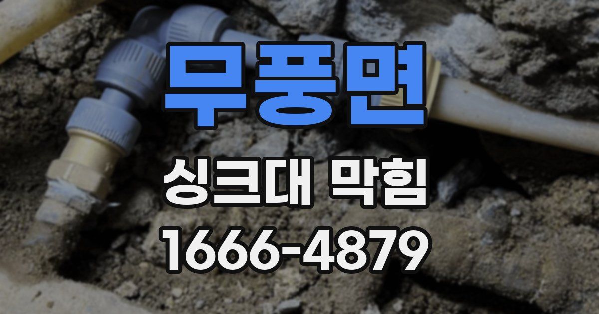무풍면 싱크대 막힘