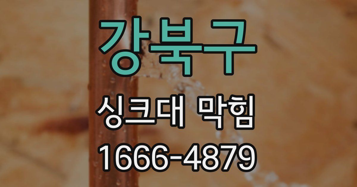 강북구 싱크대 막힘