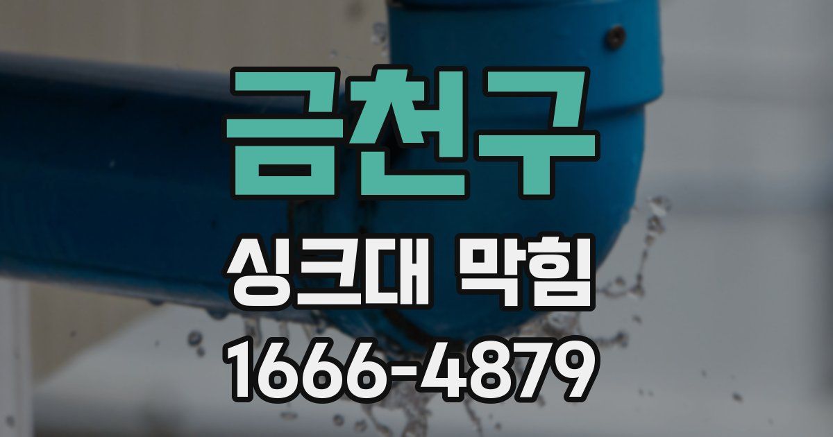 금천구 싱크대 막힘