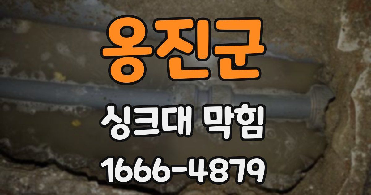 옹진군 싱크대 막힘