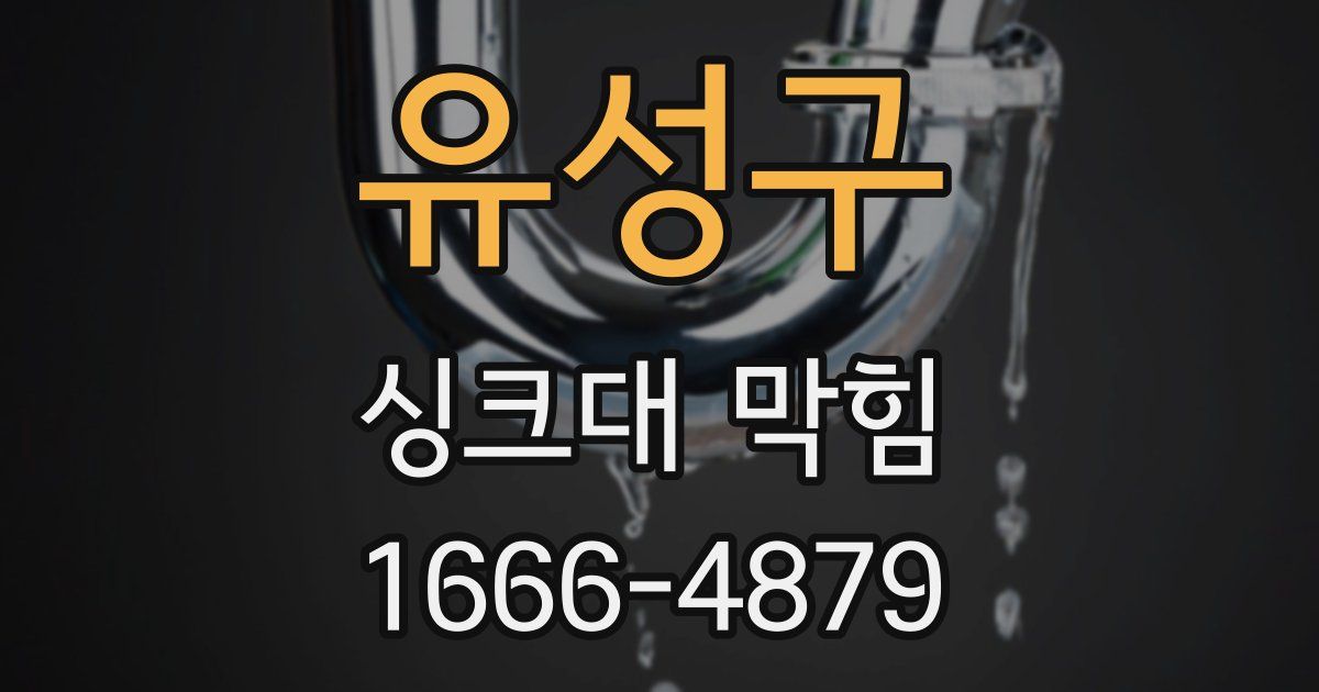 유성구 싱크대 막힘