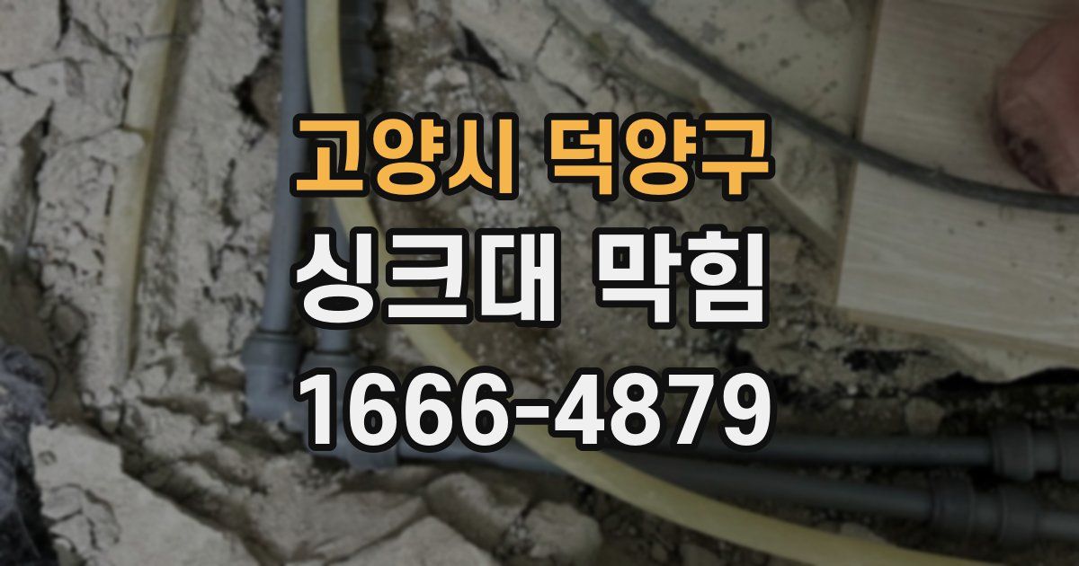 고양시 덕양구 싱크대 막힘