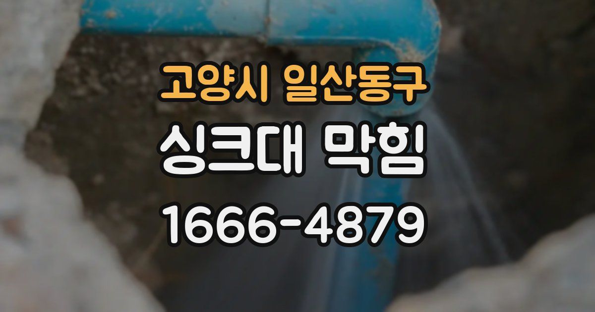 고양시 일산동구 싱크대 막힘