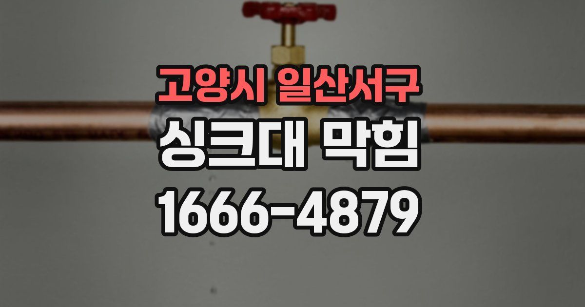 고양시 일산서구 싱크대 막힘