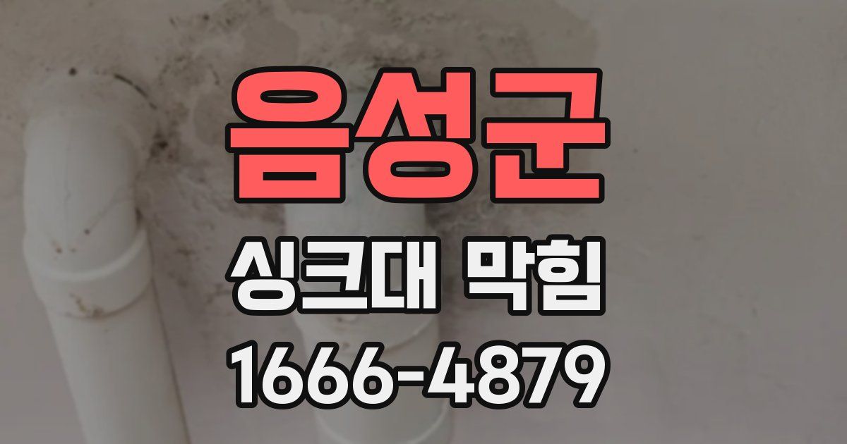 음성군 싱크대 막힘