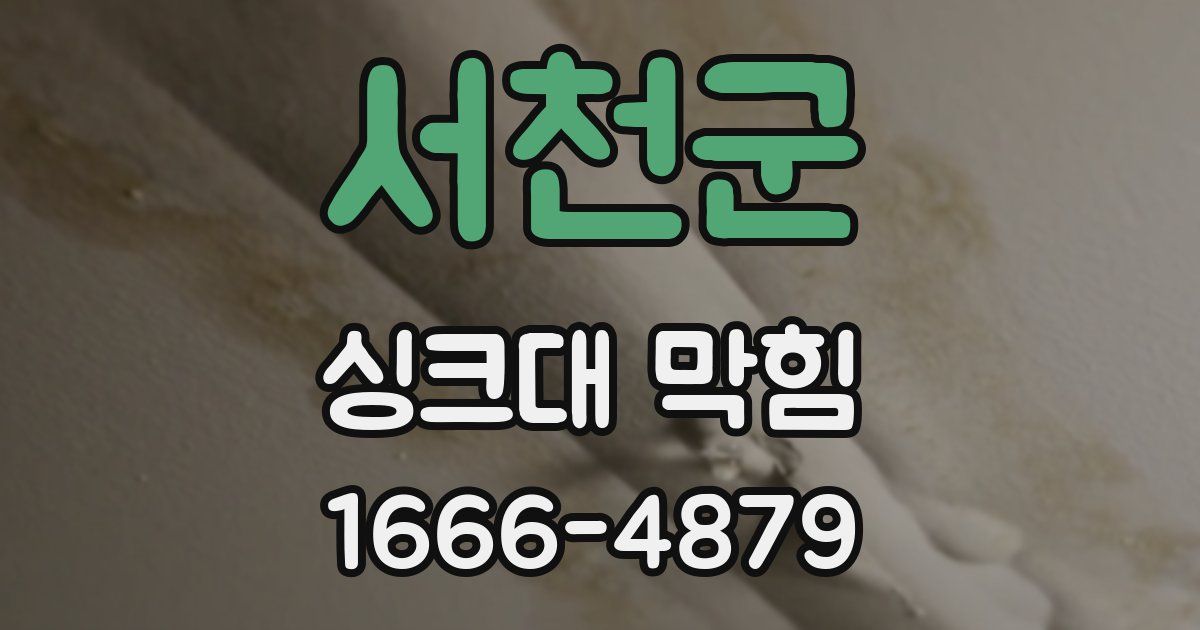 서천군 싱크대 막힘