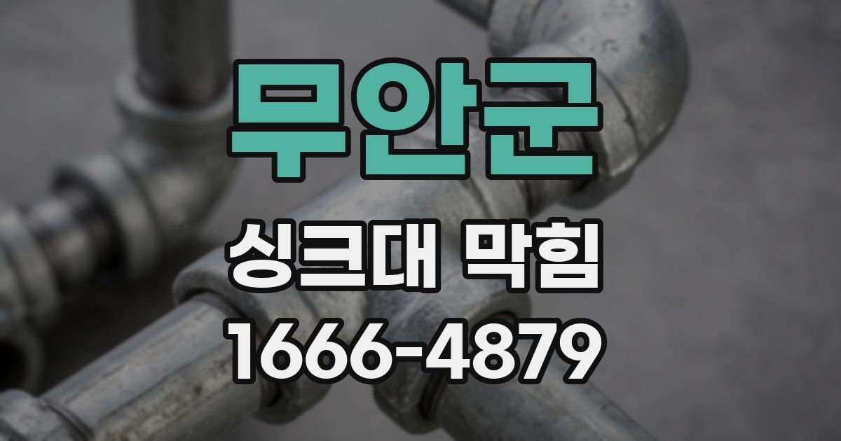 무안군 싱크대 막힘