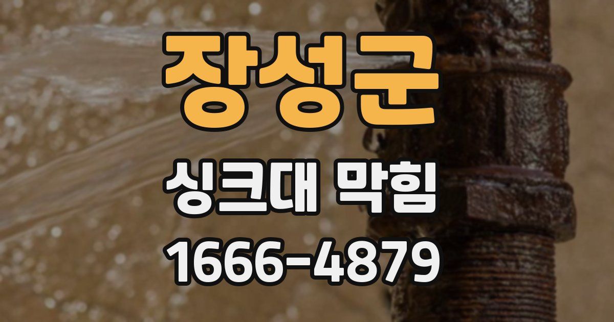 장성군 싱크대 막힘