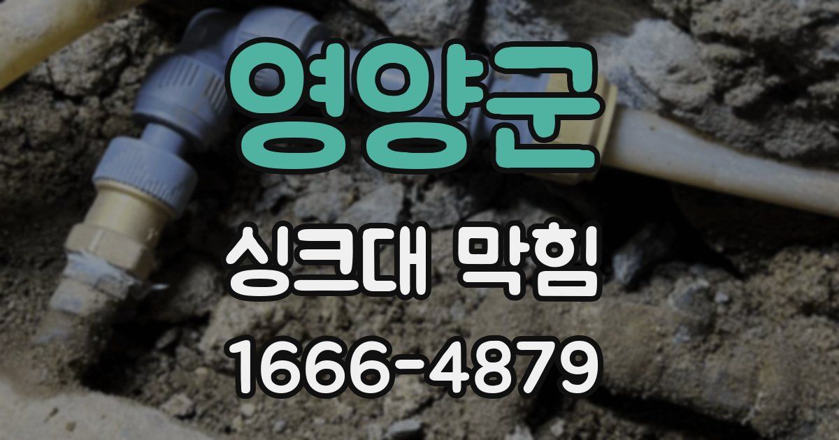 영양군 싱크대 막힘