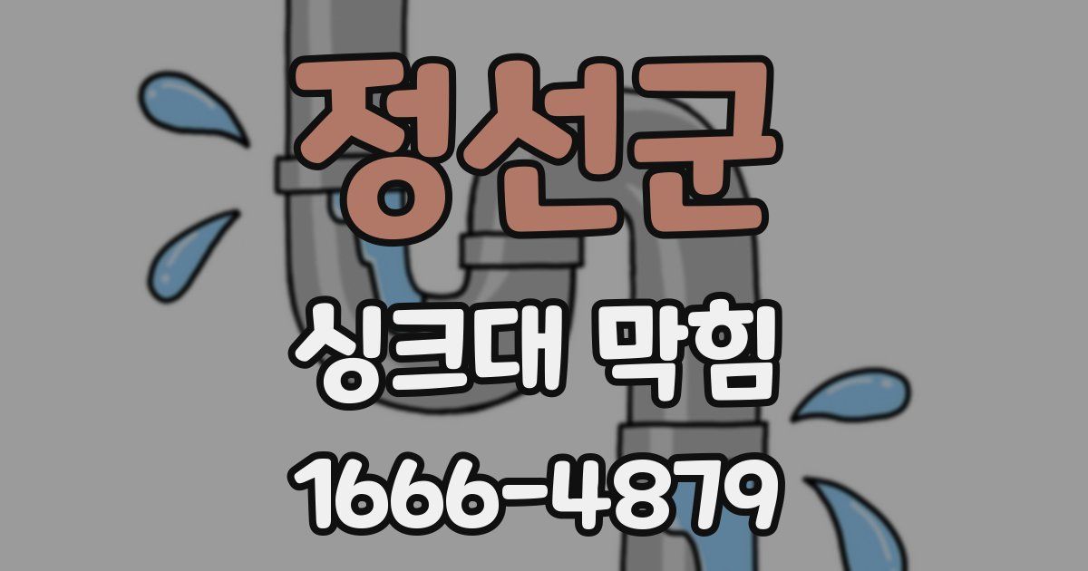 정선군 싱크대 막힘