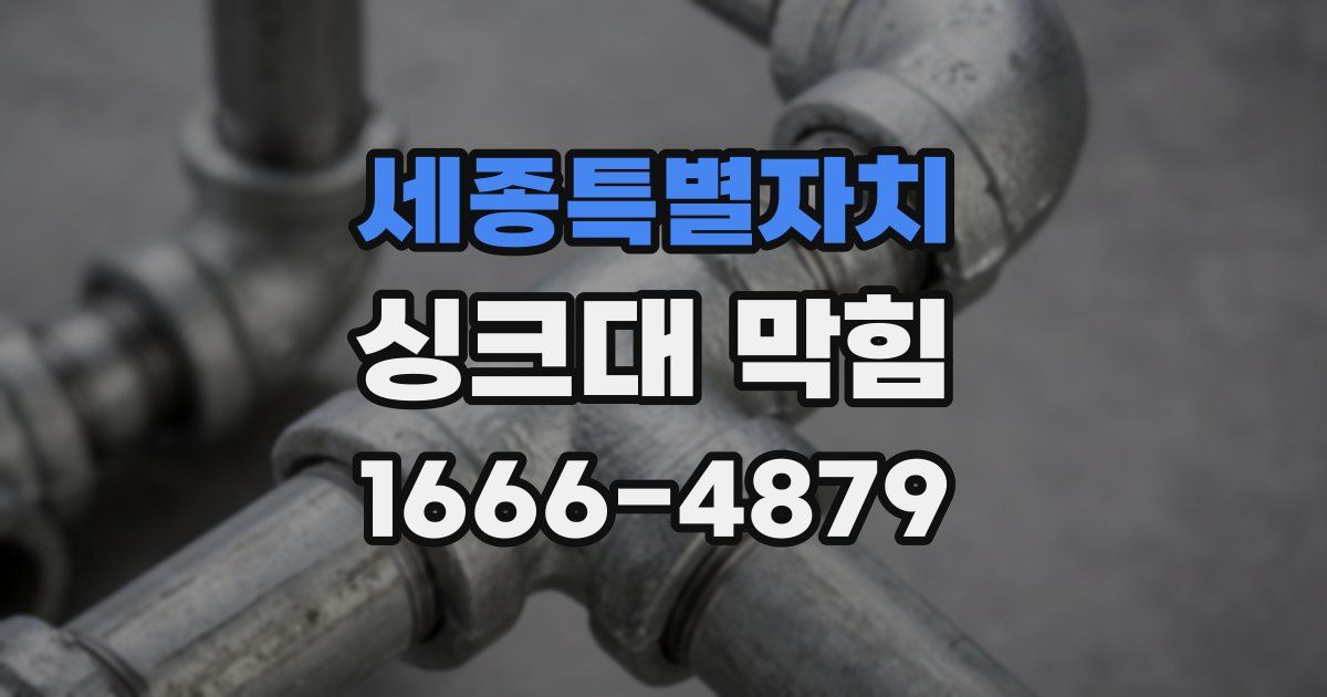 세종특별자치 싱크대 막힘