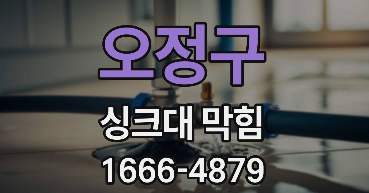 오정구 싱크대 막힘
