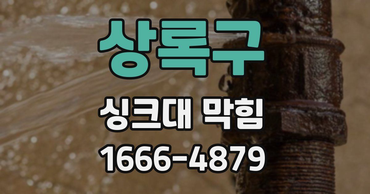 상록구 싱크대 막힘