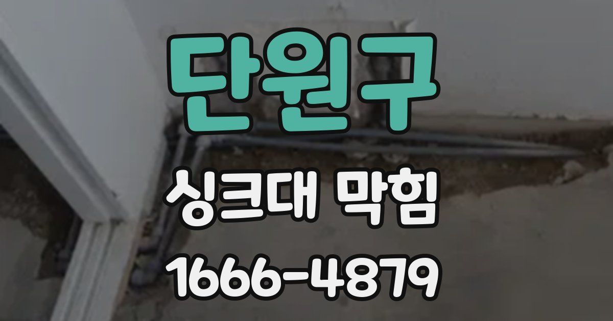단원구 싱크대 막힘