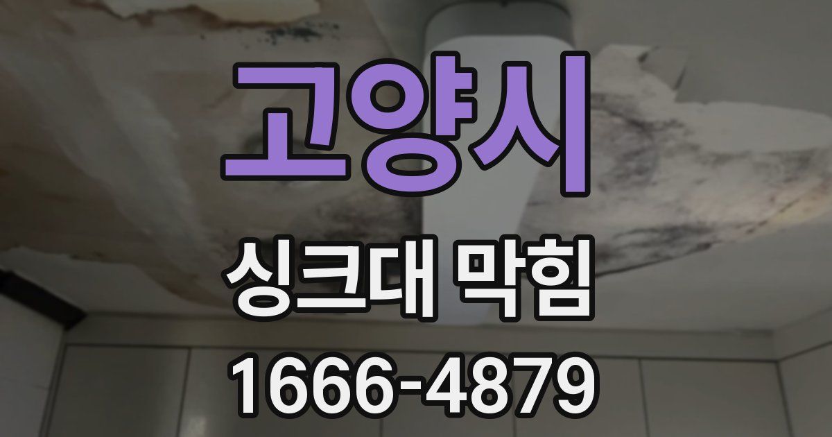 고양시 싱크대 막힘