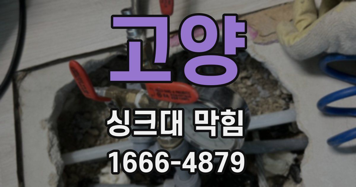 고양 싱크대 막힘