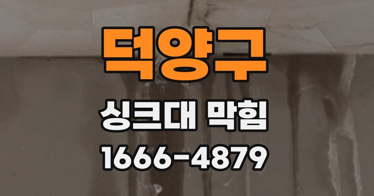 덕양구 싱크대 막힘