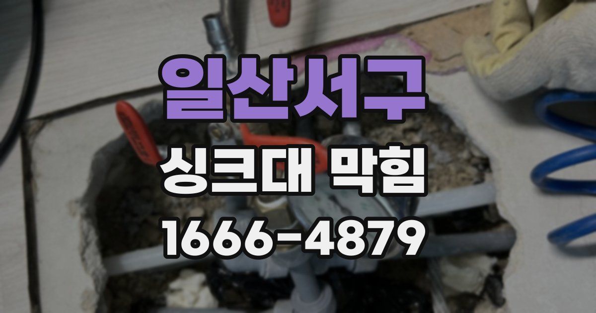 일산서구 싱크대 막힘