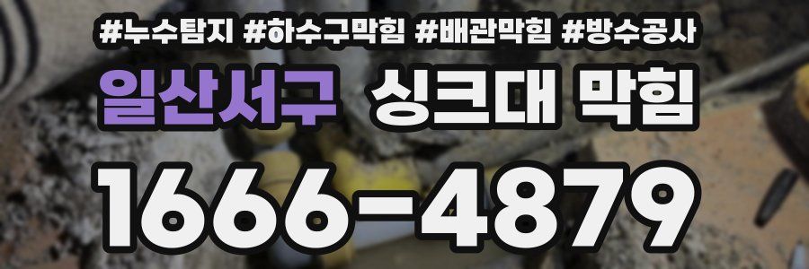 일산서구 싱크대 막힘