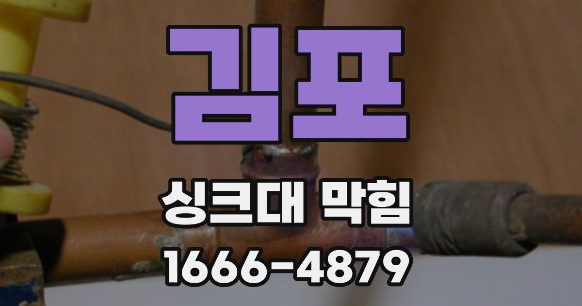 김포 싱크대 막힘