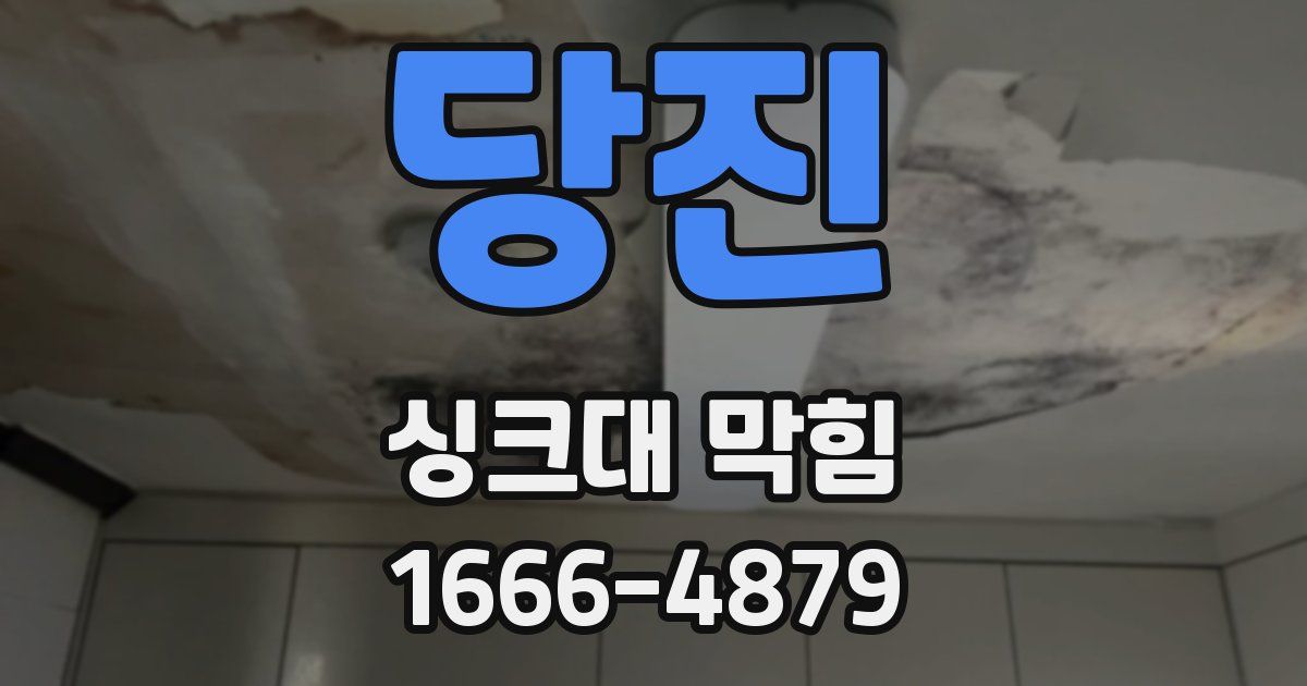 당진 싱크대 막힘