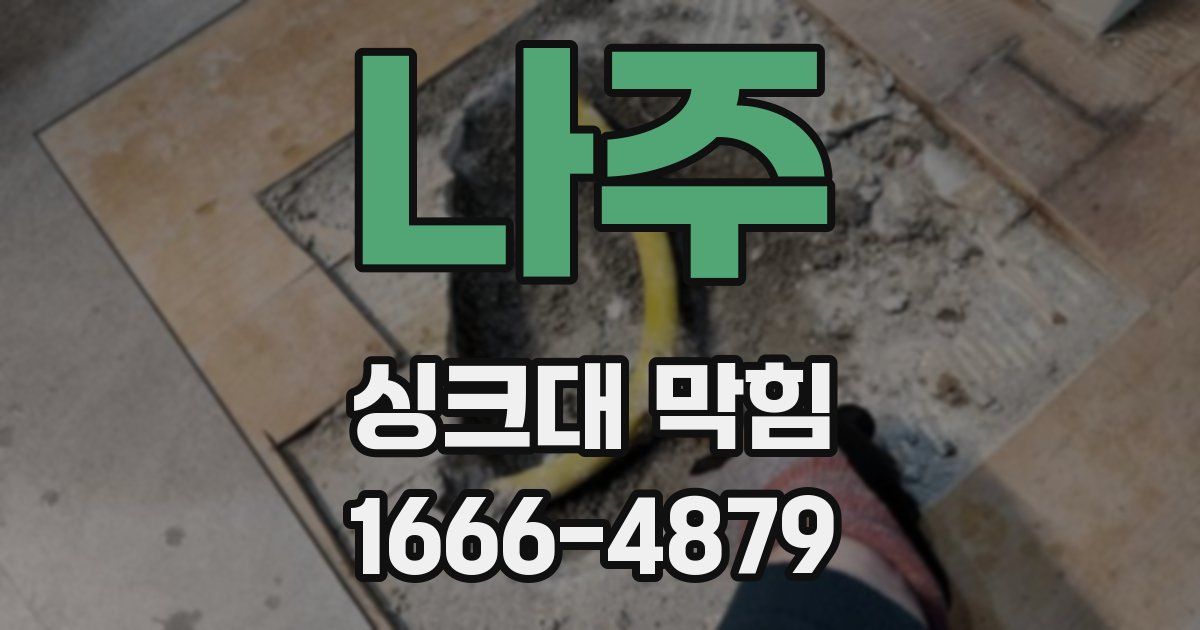 나주 싱크대 막힘
