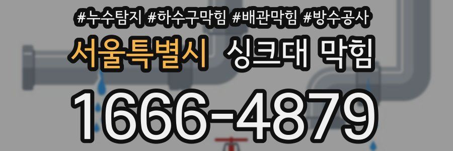 서울특별시 싱크대 막힘